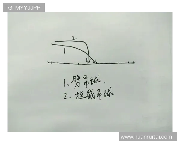 从零基础到高手之路羽毛球技巧与训练全解析